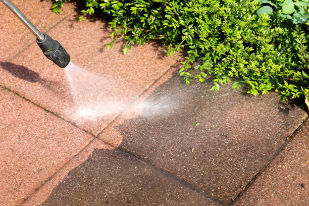 Best Commercial Building Pressure Washing  in South Huntington, NY